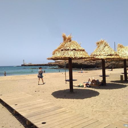 Syds Beach House Praia Ngoại thất bức ảnh