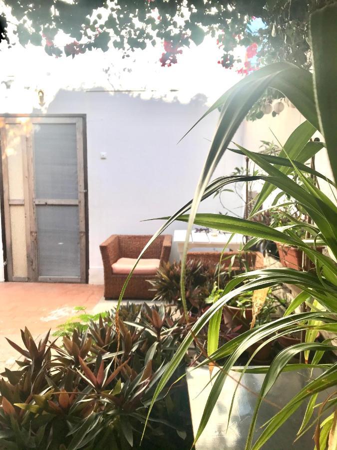 Syds Beach House Praia Ngoại thất bức ảnh