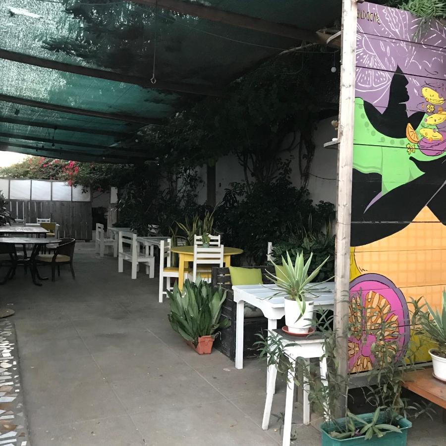 Syds Beach House Praia Ngoại thất bức ảnh